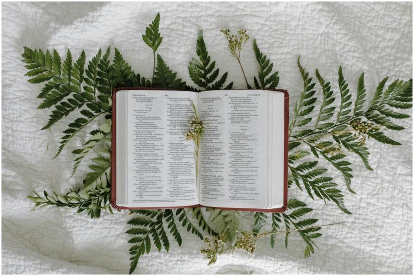 An open Bible displayed on a bedspread surrounded