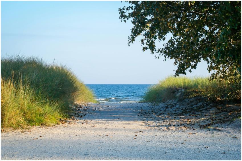Tranquil beach path leading to a peaceful ocean vi