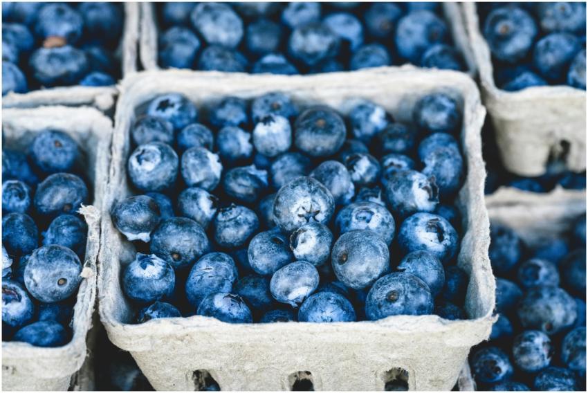 Close-up of fresh organic blueberries in cardboard