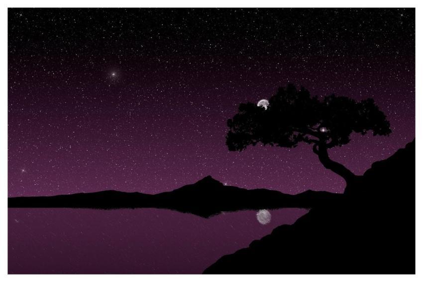 Silhouette 4K Wallpaper Juniper Tree Wallpaper Hd