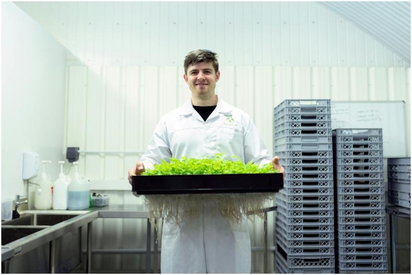 Scientist in a laboratory holding a tray of hydrop