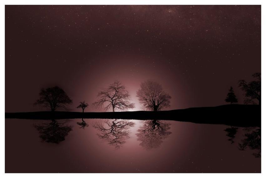 Trees Lake Sky Background Windows Wallpaper