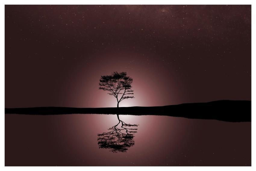 Sunset Free Background Lake Tree