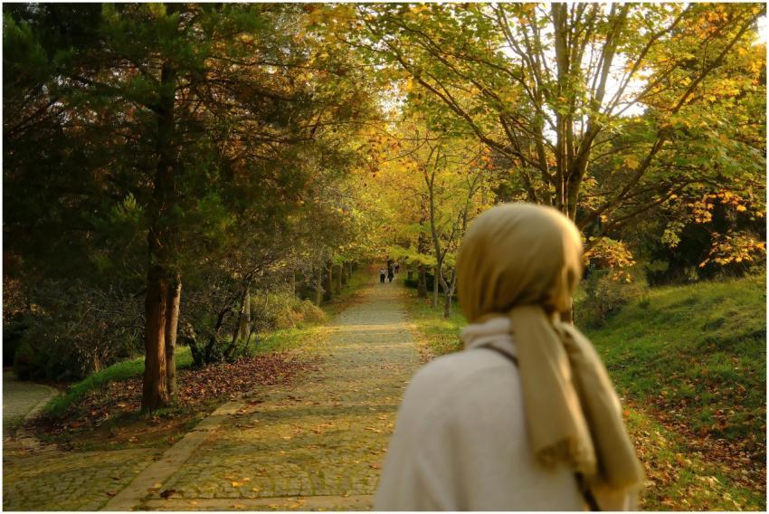 A person walks through a serene park path during a