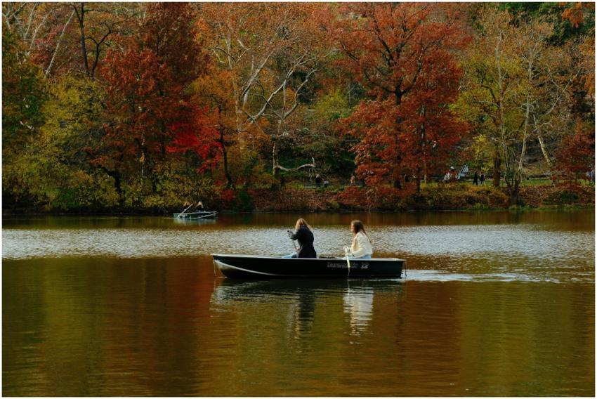 Two adults enjoy a serene rowboat ride amid vibran