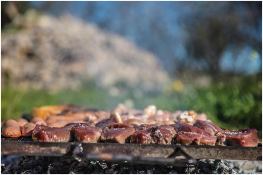 Outdoor Barbecue Grilled Meats