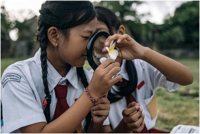Children in school uniforms examining a flower wit