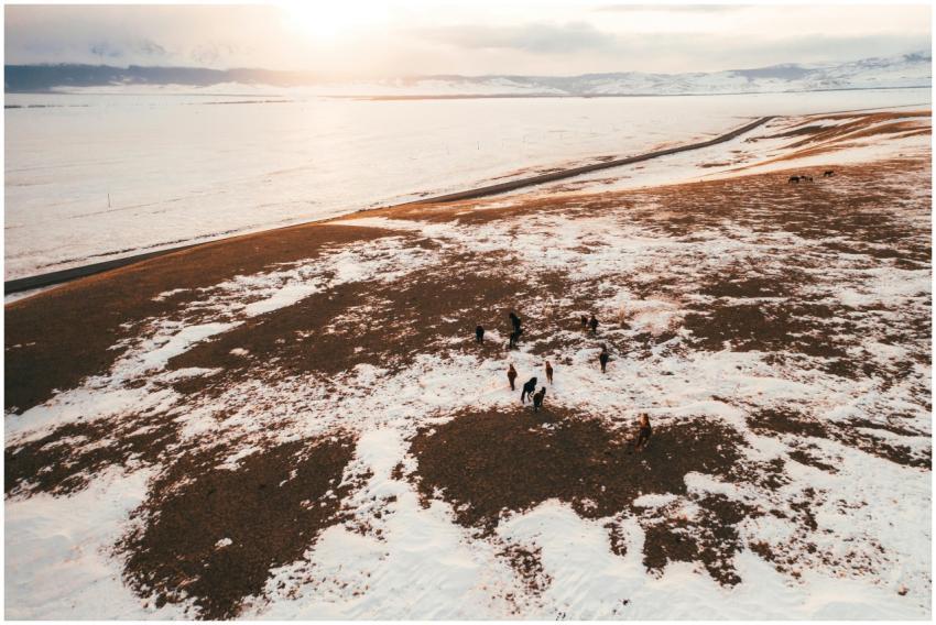 Aerial view of snow-covered terrain with horses du