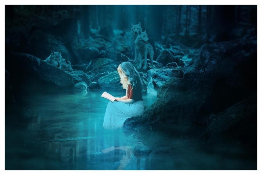 Woman Forest Wolves Beautiful Nature