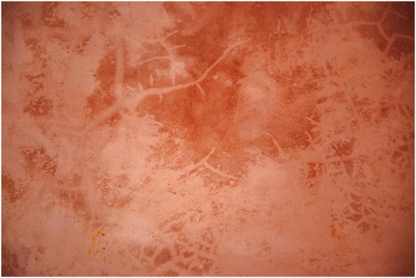 Close-up view of a rusty terracotta textured patte