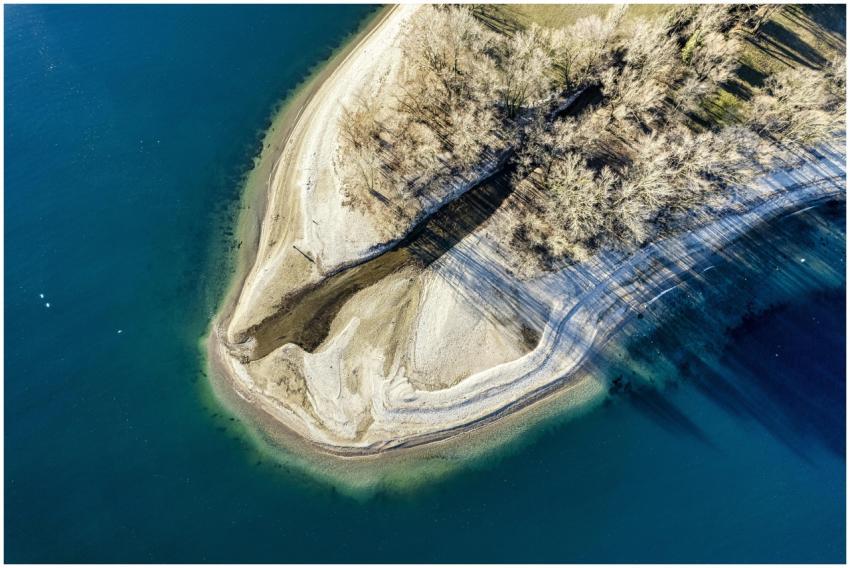 Stunning aerial shot of shoreline with trees casti