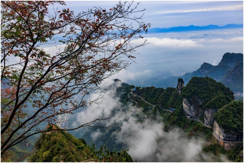 Breathtaking Misty Mountains China
