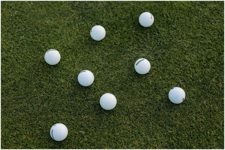 A visually appealing composition of scattered whit