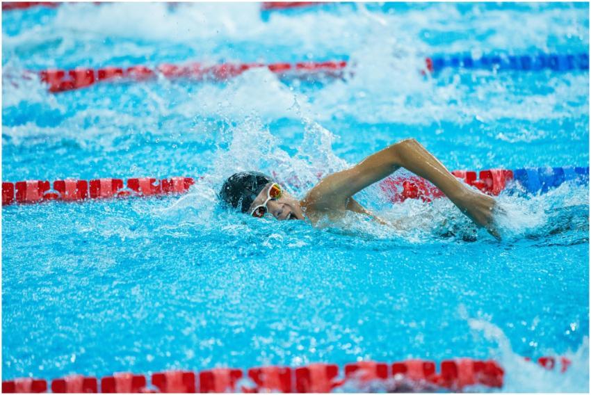 Free stock photo of competitive swimming