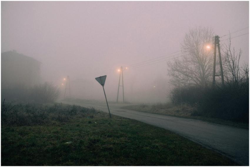 Moody fog envelops a rural street at night, illumi