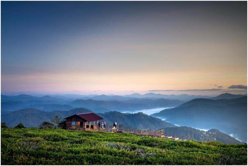 A peaceful cabin overlooking misty mountains at da