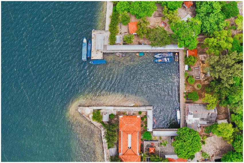 Aerial shot of docks and boats surrounded by green