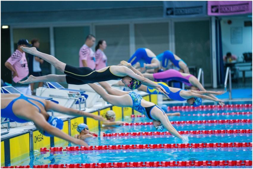 Free stock photo of competitive swimming