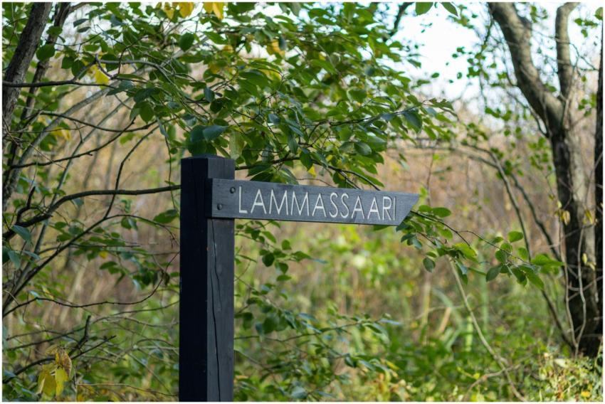 Wooden sign pointing to Lammassaari in a lush Finn