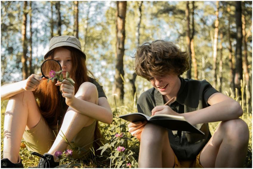 Teenagers explore nature and study outdoors, enjoy