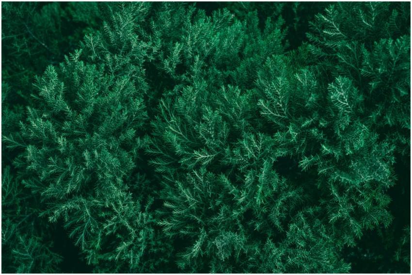 Free stock photo of abstract, backdrop, background