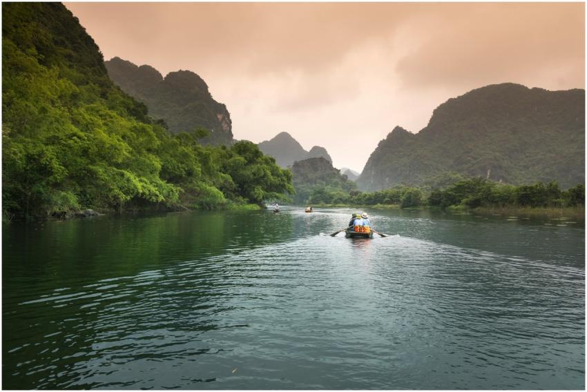 Serene canoe journey through lush river surrounded