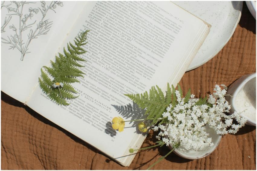 Aesthetic flat lay featuring an open book with pre