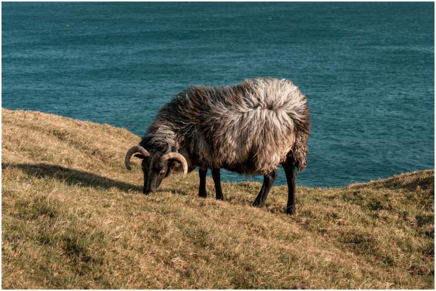 Free stock photo of 4k wallpaper, irish landscape,