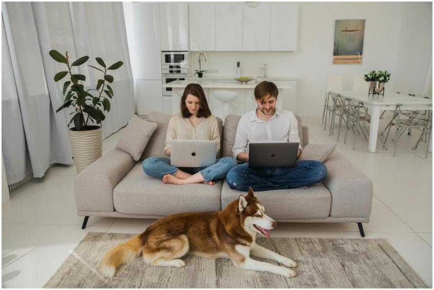 Young couple working on laptops in a stylish livin
