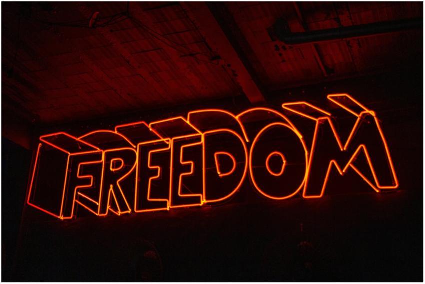 Vivid red neon 'Freedom' sign glowing against a da
