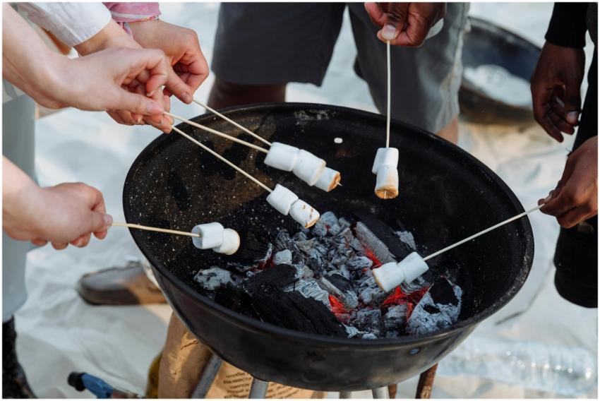 A group of people roasting marshmallows over a cha