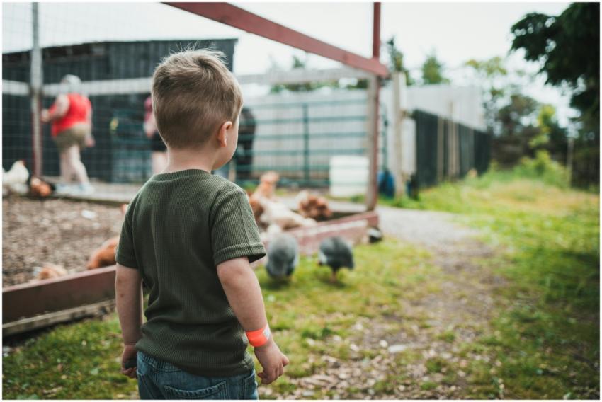 A young child observing chickens on a farm, surrou