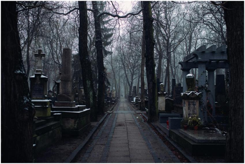 A misty winter morning in an old cemetery with tom