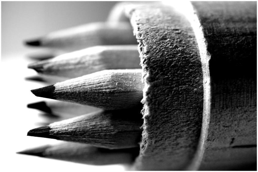 Artistic black and white close-up of pencils in a