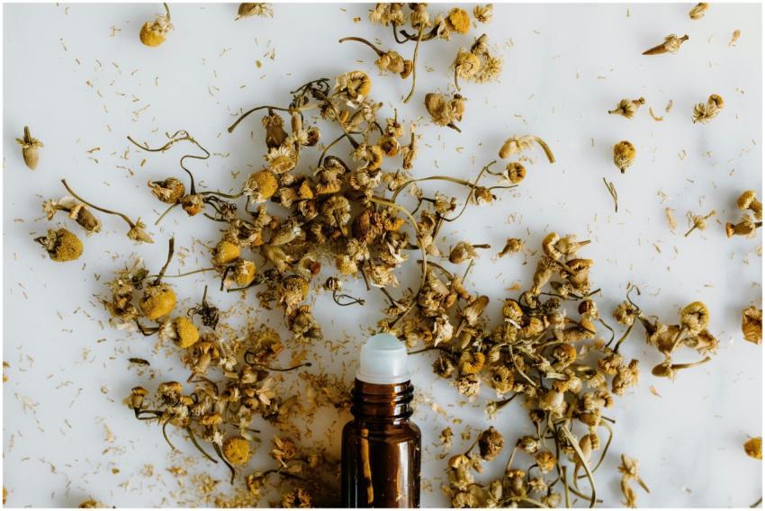 Aromatic dried chamomile flowers scattered around