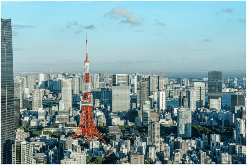 Elevated view of Tokyo cityscape with the iconic T