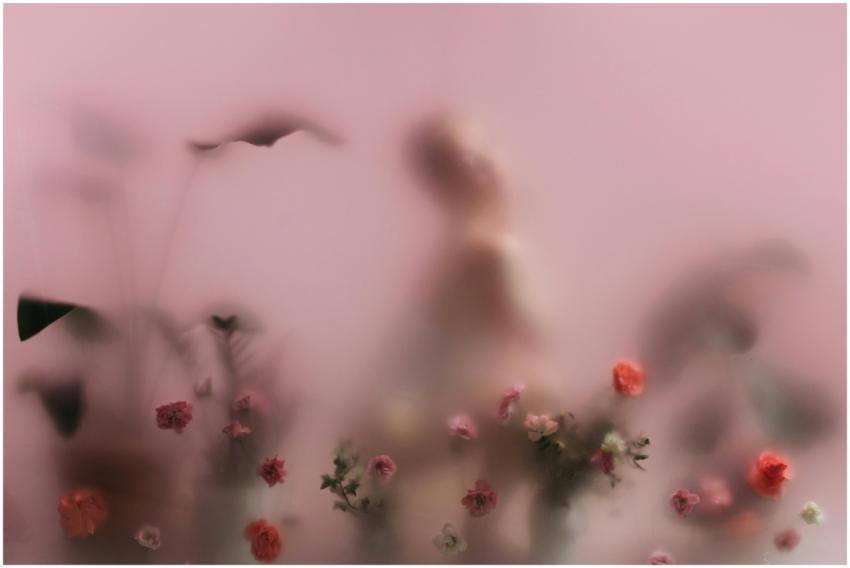 Abstract image of blurred flowers and person silho