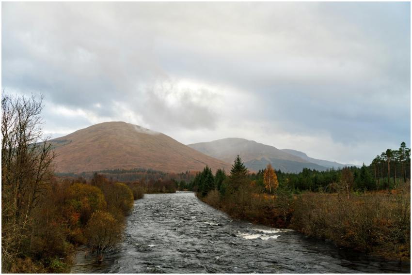 Serene landscape of a river flowing through autumn