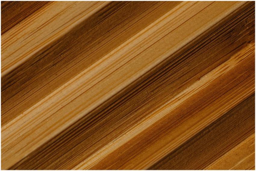 Detailed close-up of brown wood texture highlighti