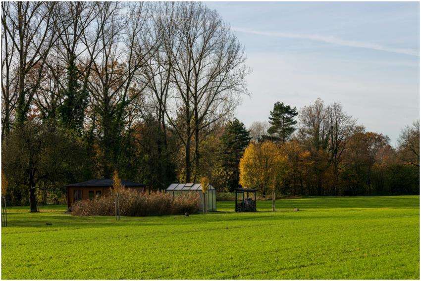 Peaceful rural scene featuring a cabin amidst tree