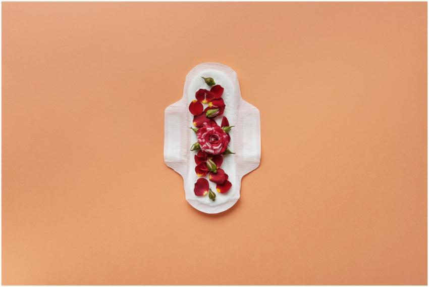 A sanitary pad adorned with red rose petals on a p