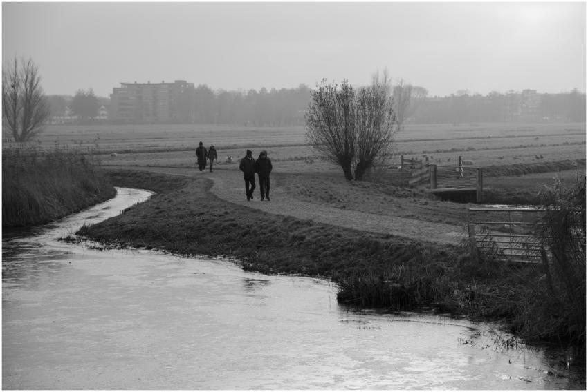 Serene black and white scene of people walking alo