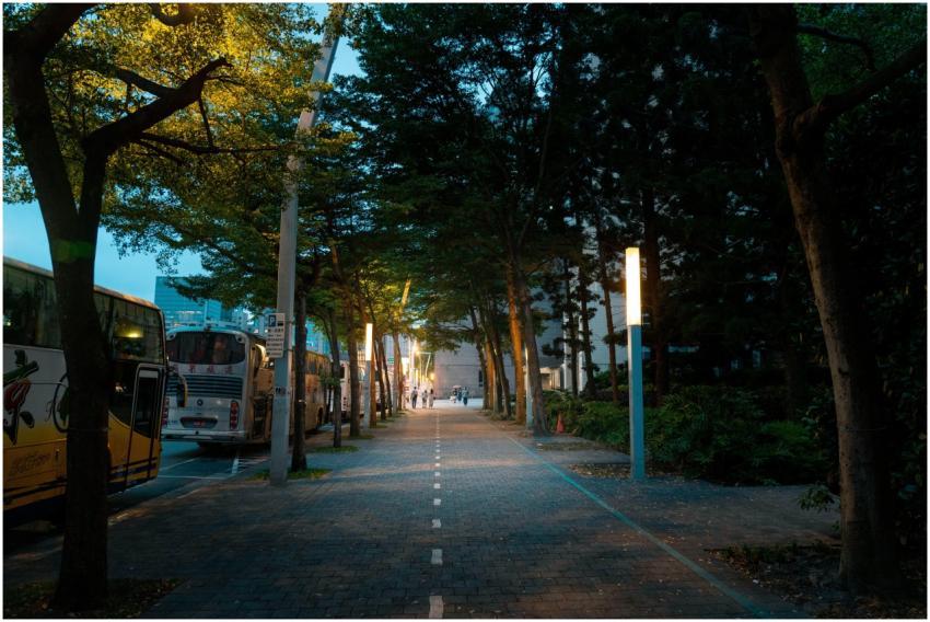 Serene evening view of a tree-lined street in Taip