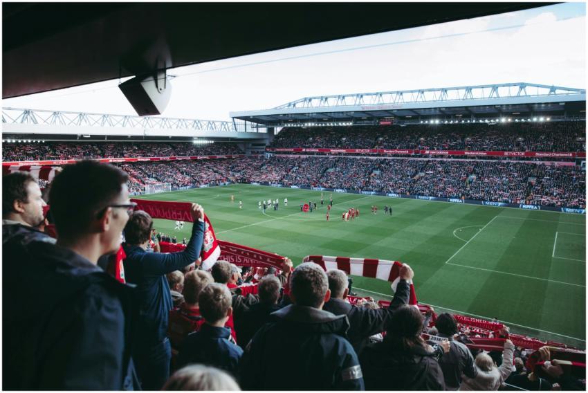 Fans cheer as players take the field at a vibrant