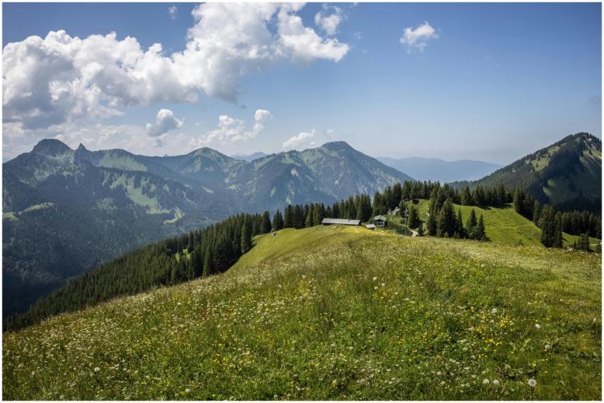 Panoramic view of alpine mountains and lush green