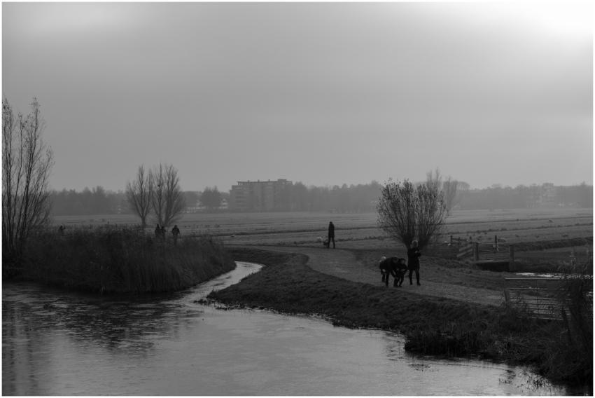A serene black and white image of a foggy pathway