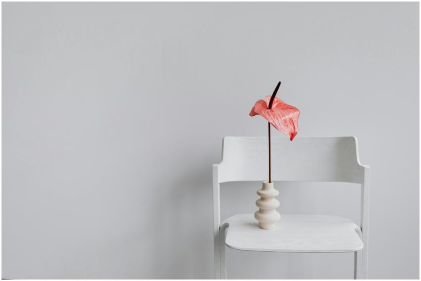 Elegant anthurium flower in a unique vase on a min