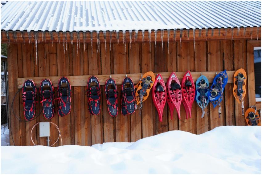 A collection of colorful snowshoes hangs on a wood
