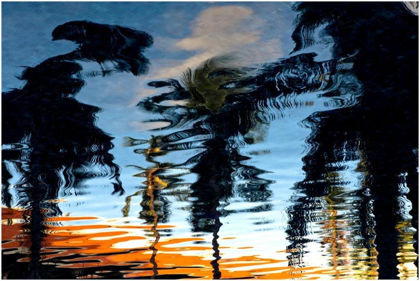 Vibrant palm tree reflections ripple across a sere