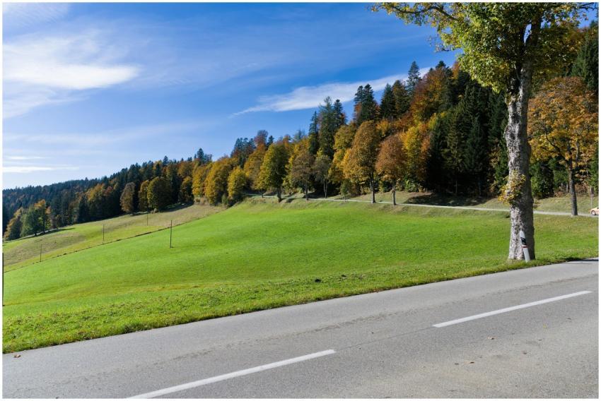 A peaceful autumn view of the Jura Mountains with